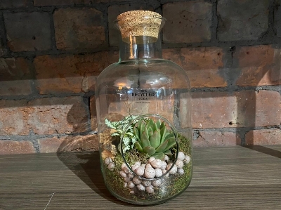 Glass Bottle Terrerium