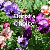 Florist Choice Funeral