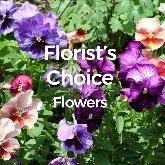 Florists Choice Flowers