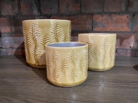 Nadin Ceramic Pots (Fern) B